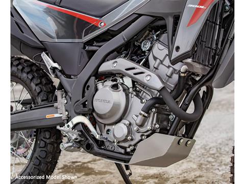 2025 Honda CRF300LS in West Bridgewater, Massachusetts - Photo 4