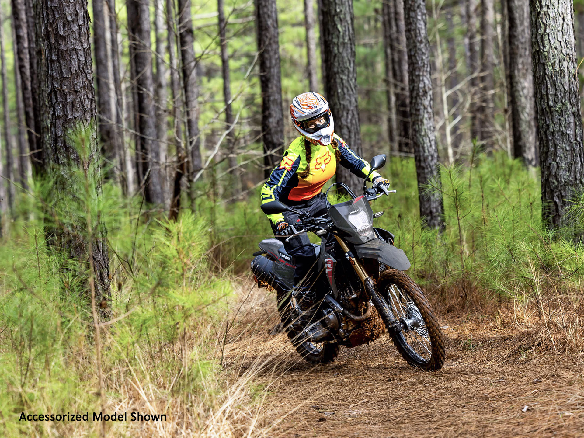 2025 Honda CRF300LS in West Bridgewater, Massachusetts - Photo 9