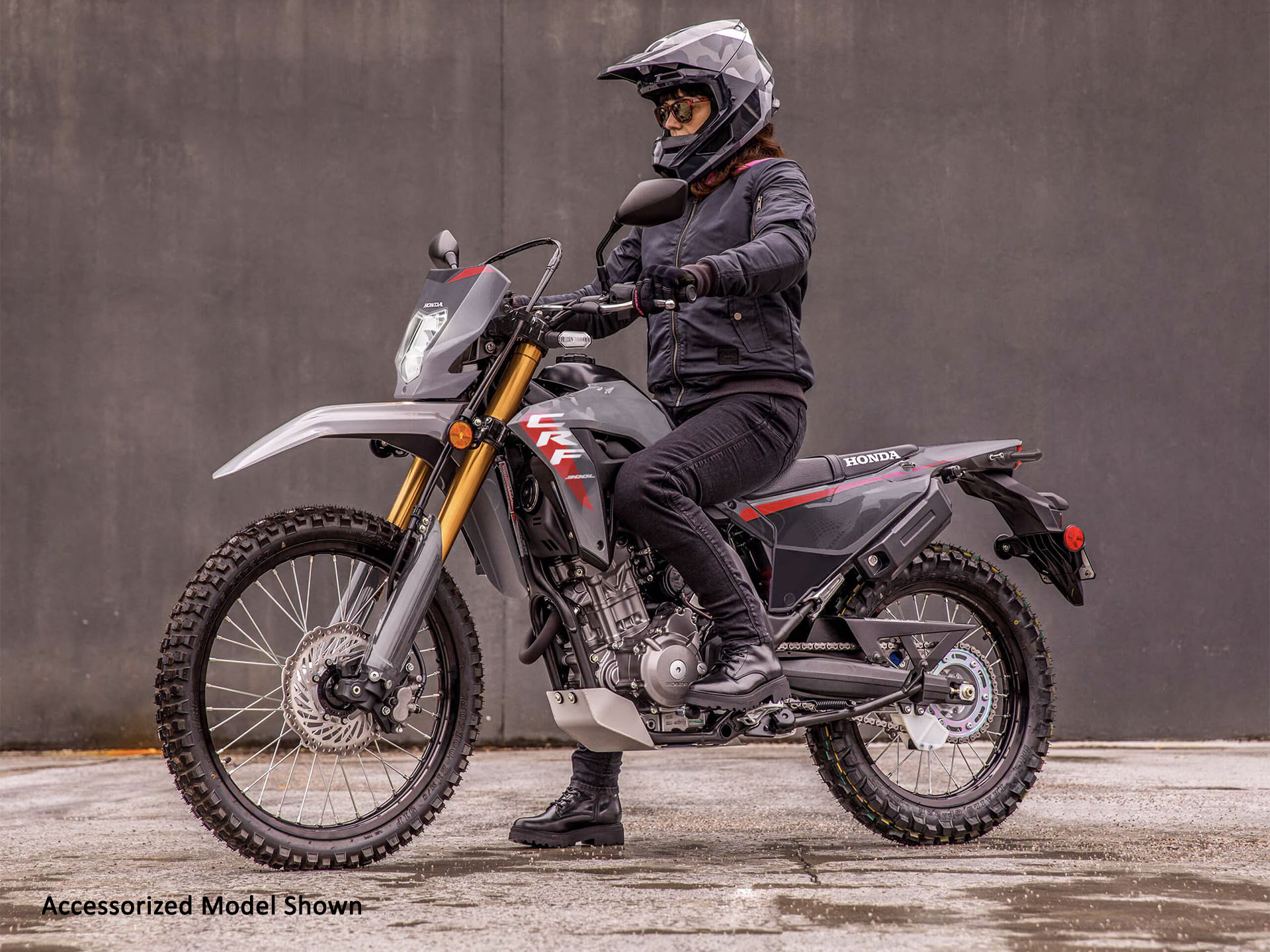 2025 Honda CRF300LS in West Bridgewater, Massachusetts - Photo 12