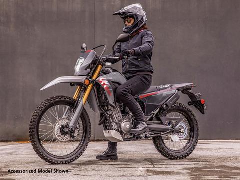 2025 Honda CRF300LS in West Bridgewater, Massachusetts - Photo 12