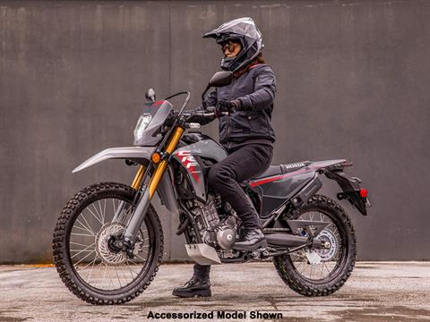 2025 Honda CRF300LS in Long Island City, New York - Photo 12