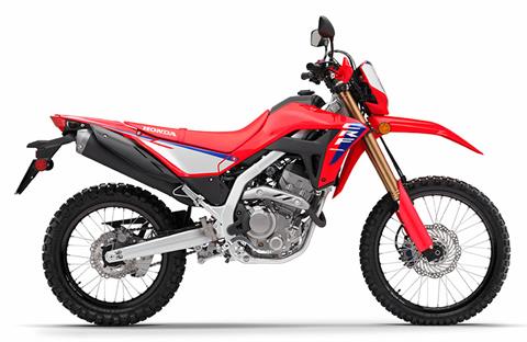 2025 Honda CRF300L ABS in Huron, Ohio