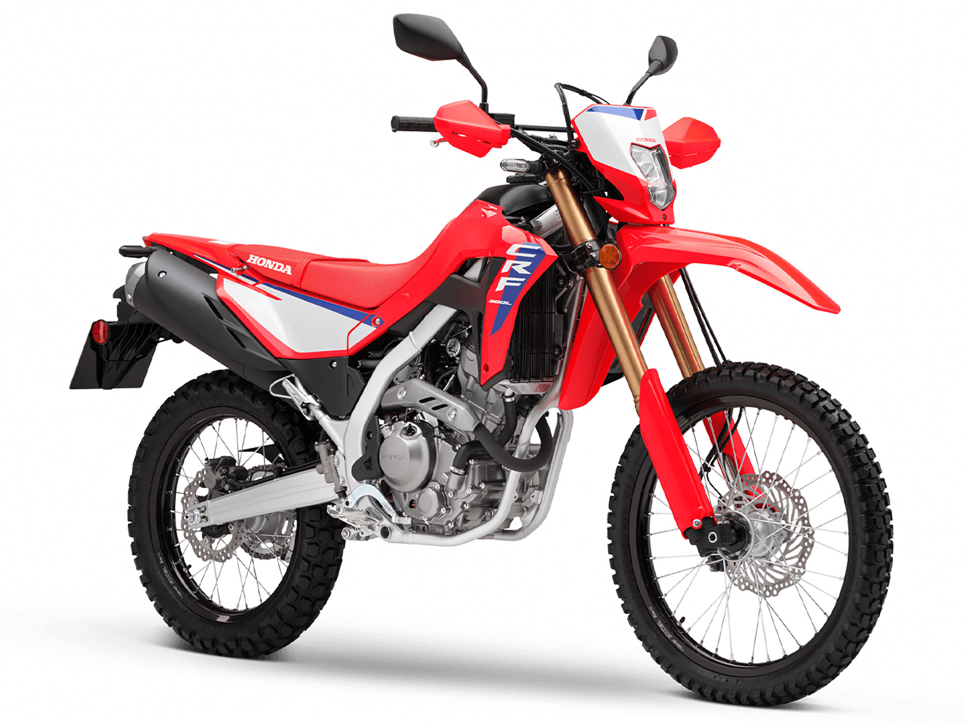 2025 Honda CRF300L ABS in Fort Pierce, Florida - Photo 2