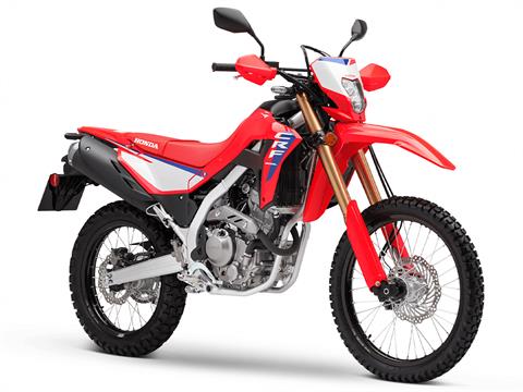 2025 Honda CRF300L ABS in Fort Pierce, Florida - Photo 2