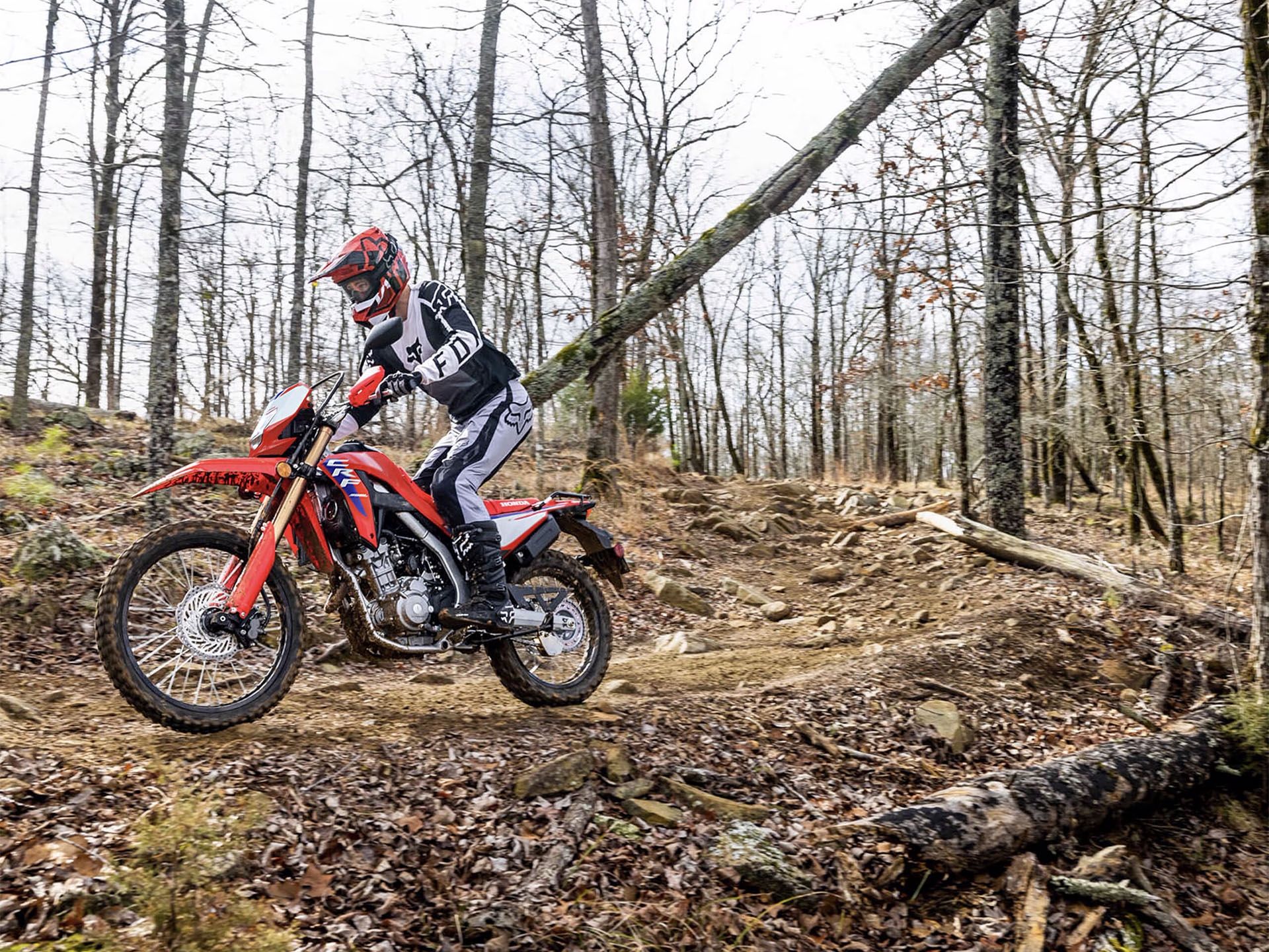 2025 Honda CRF300L ABS in Fort Pierce, Florida - Photo 11