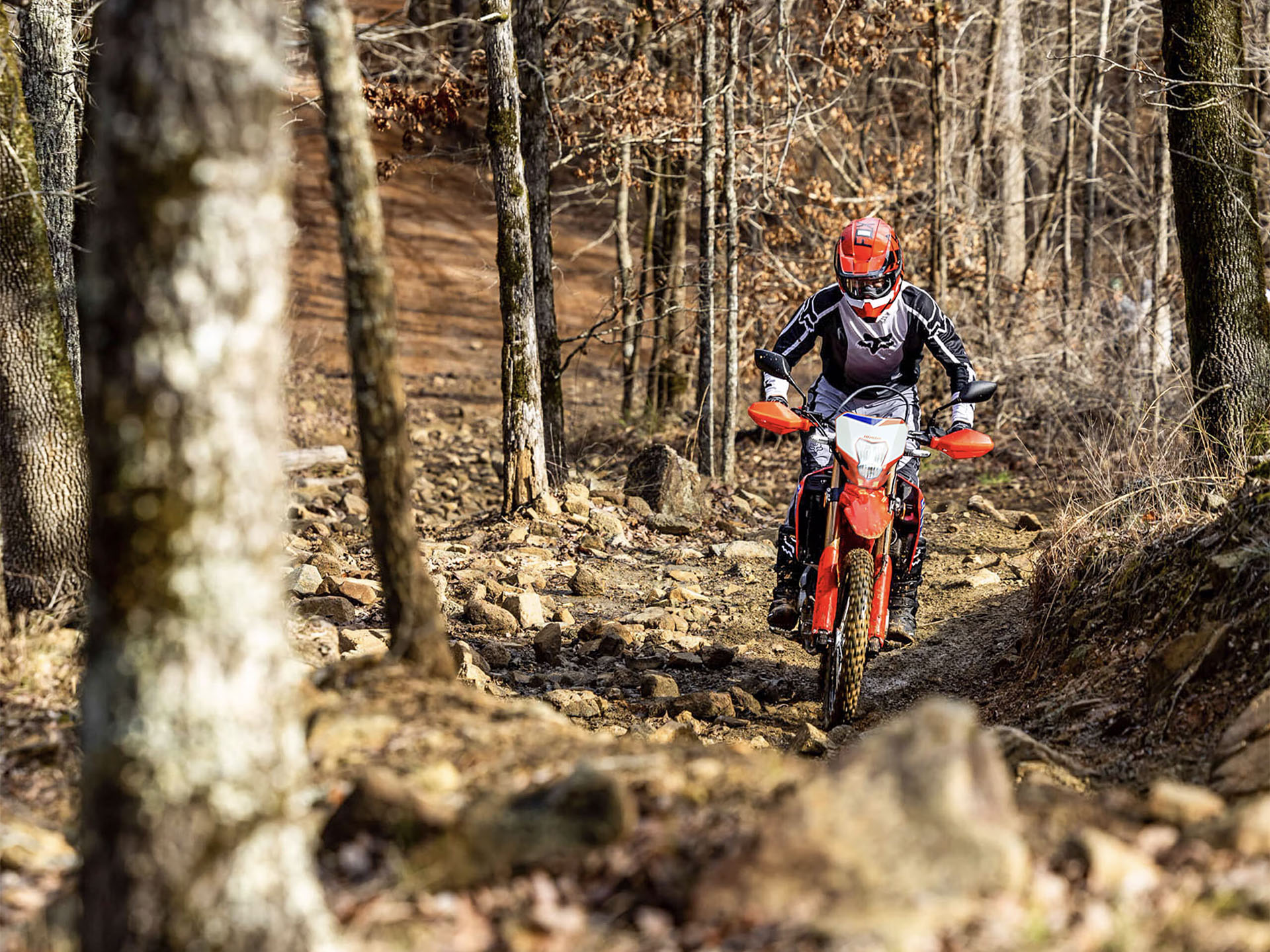 2025 Honda CRF300L ABS in Fort Pierce, Florida - Photo 12