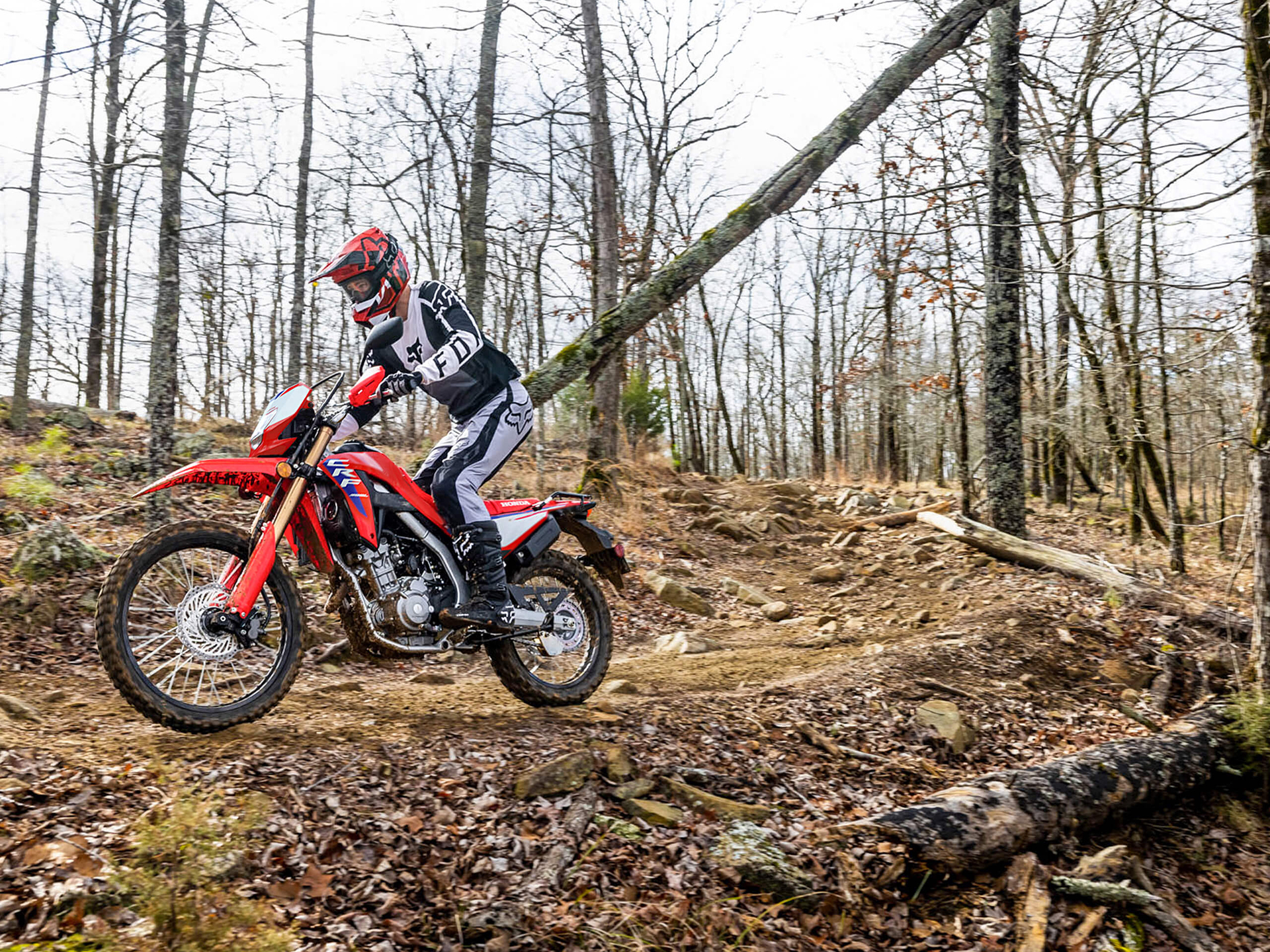 2025 Honda CRF300L ABS in Hollister, California - Photo 11