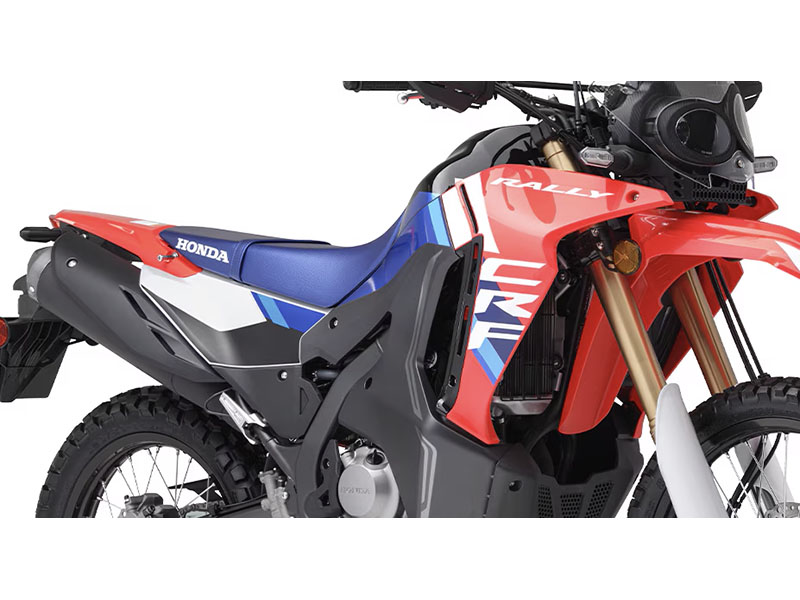 2025 Honda CRF300L Rally ABS in Long Island City, New York