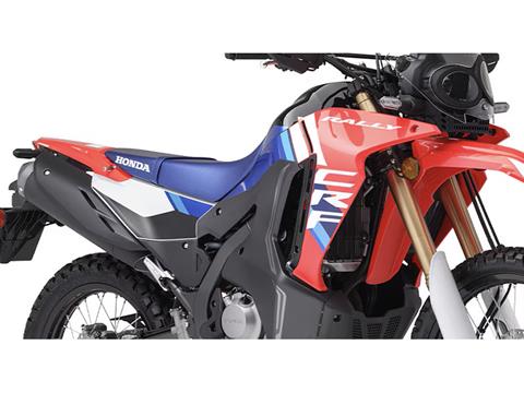 2025 Honda CRF300L Rally ABS in Long Island City, New York - Photo 7