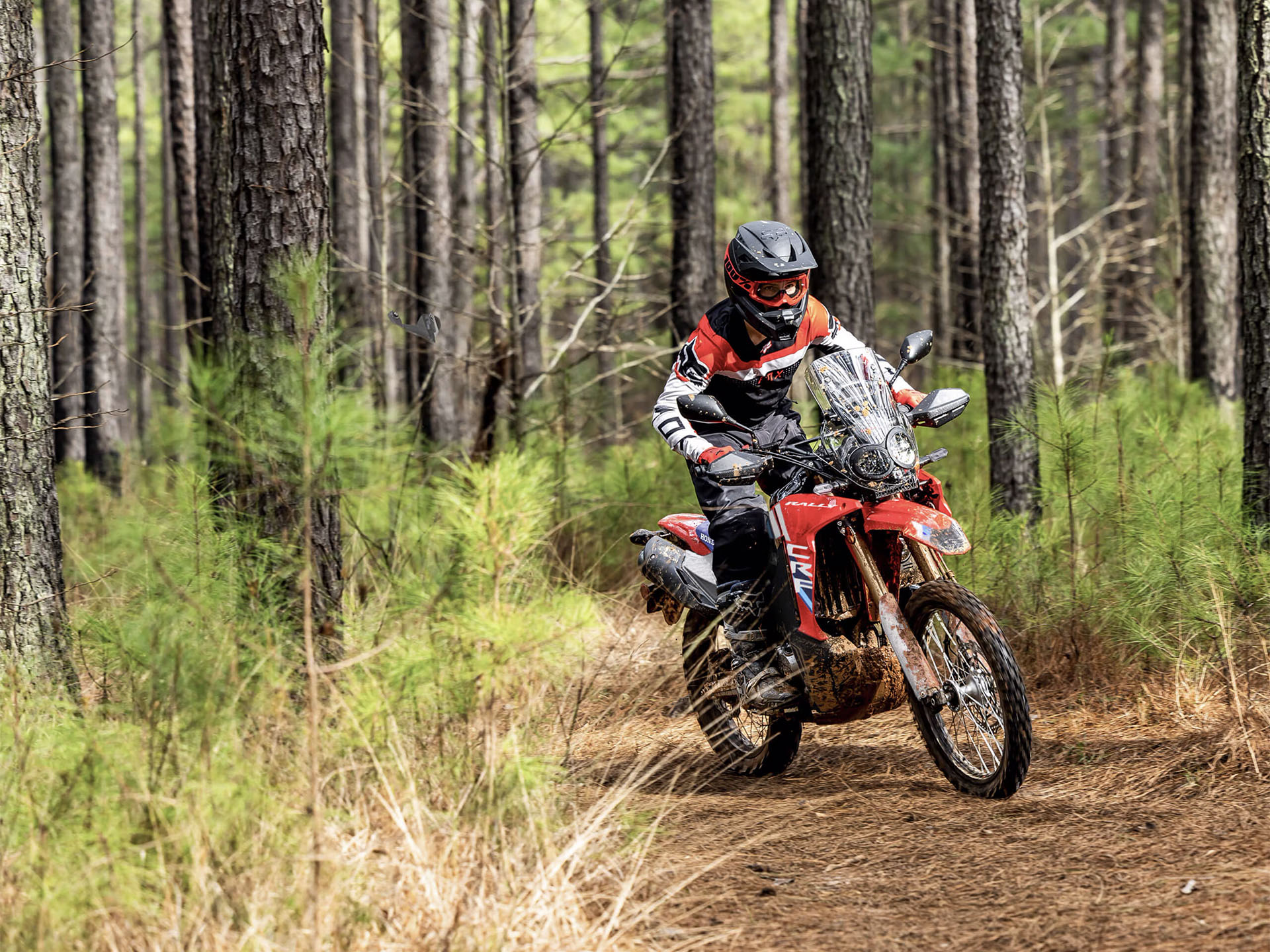 2025 Honda CRF300L Rally ABS in Long Island City, New York