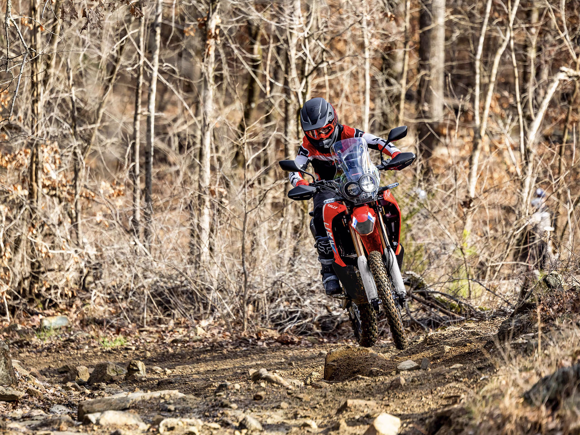 2025 Honda CRF300L Rally ABS in Long Island City, New York