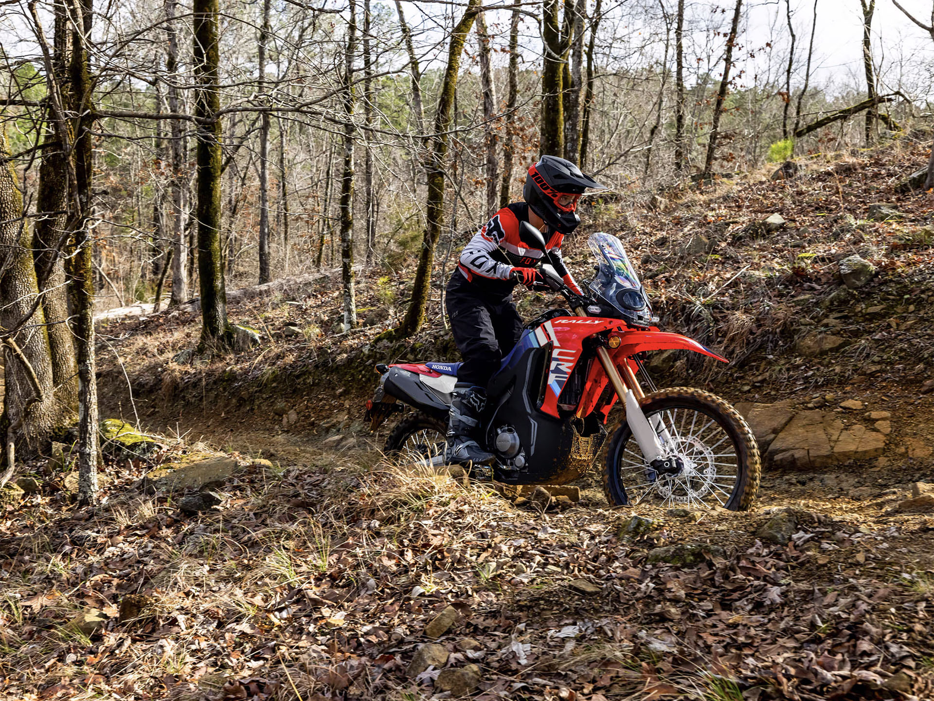 2025 Honda CRF300L Rally ABS in Long Island City, New York