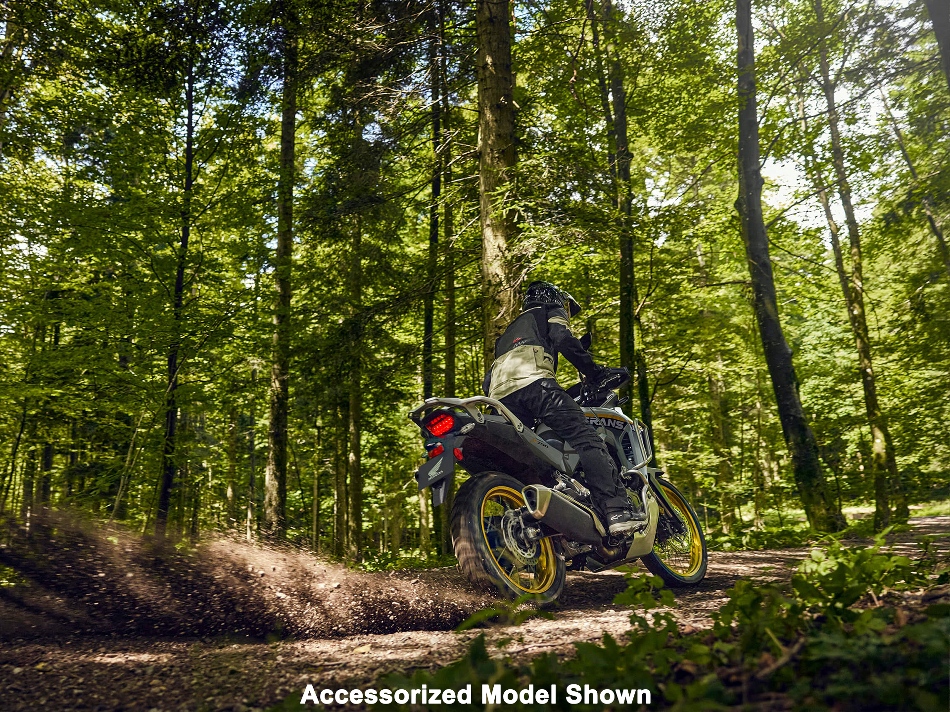 2025 Honda Transalp in Northampton, Massachusetts - Photo 17