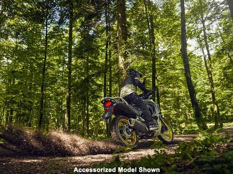 2025 Honda Transalp in Northampton, Massachusetts - Photo 17