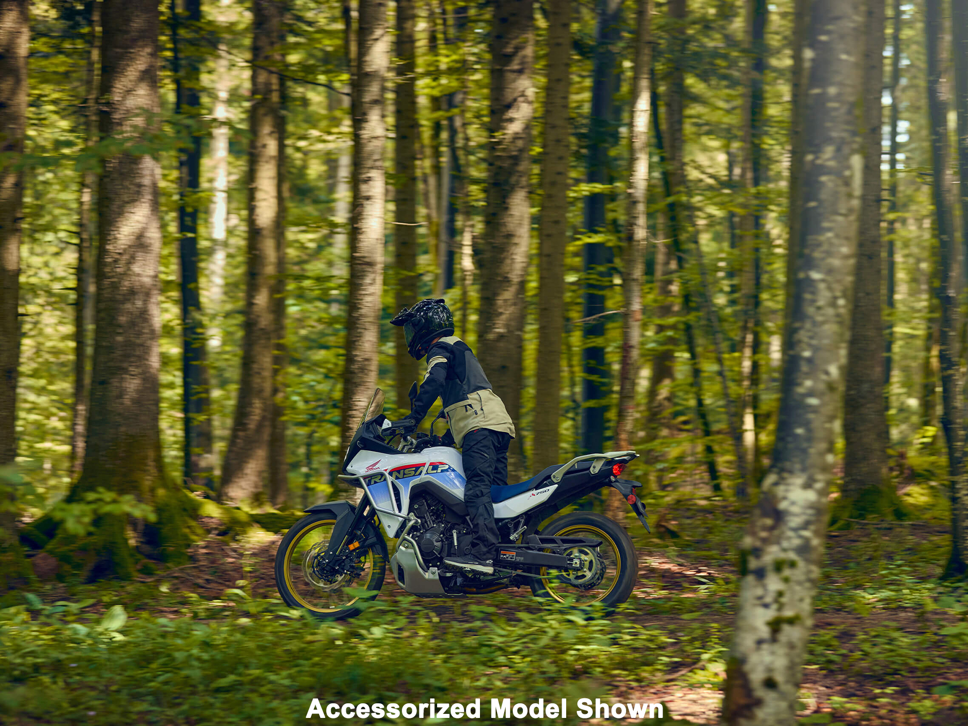 2025 Honda Transalp in Northampton, Massachusetts - Photo 18
