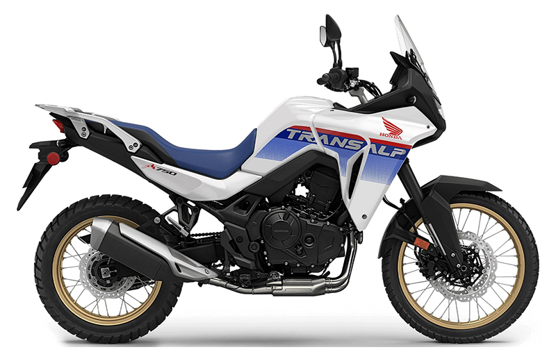 2025 Honda Transalp in Northampton, Massachusetts - Photo 1
