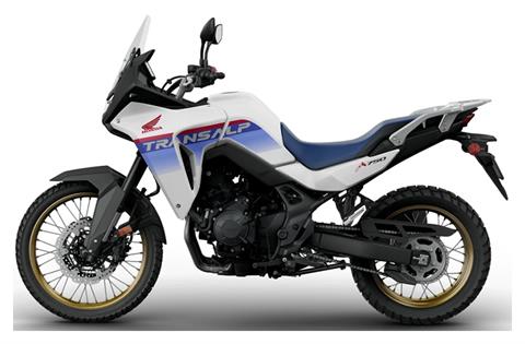 2025 Honda Transalp in Northampton, Massachusetts - Photo 2