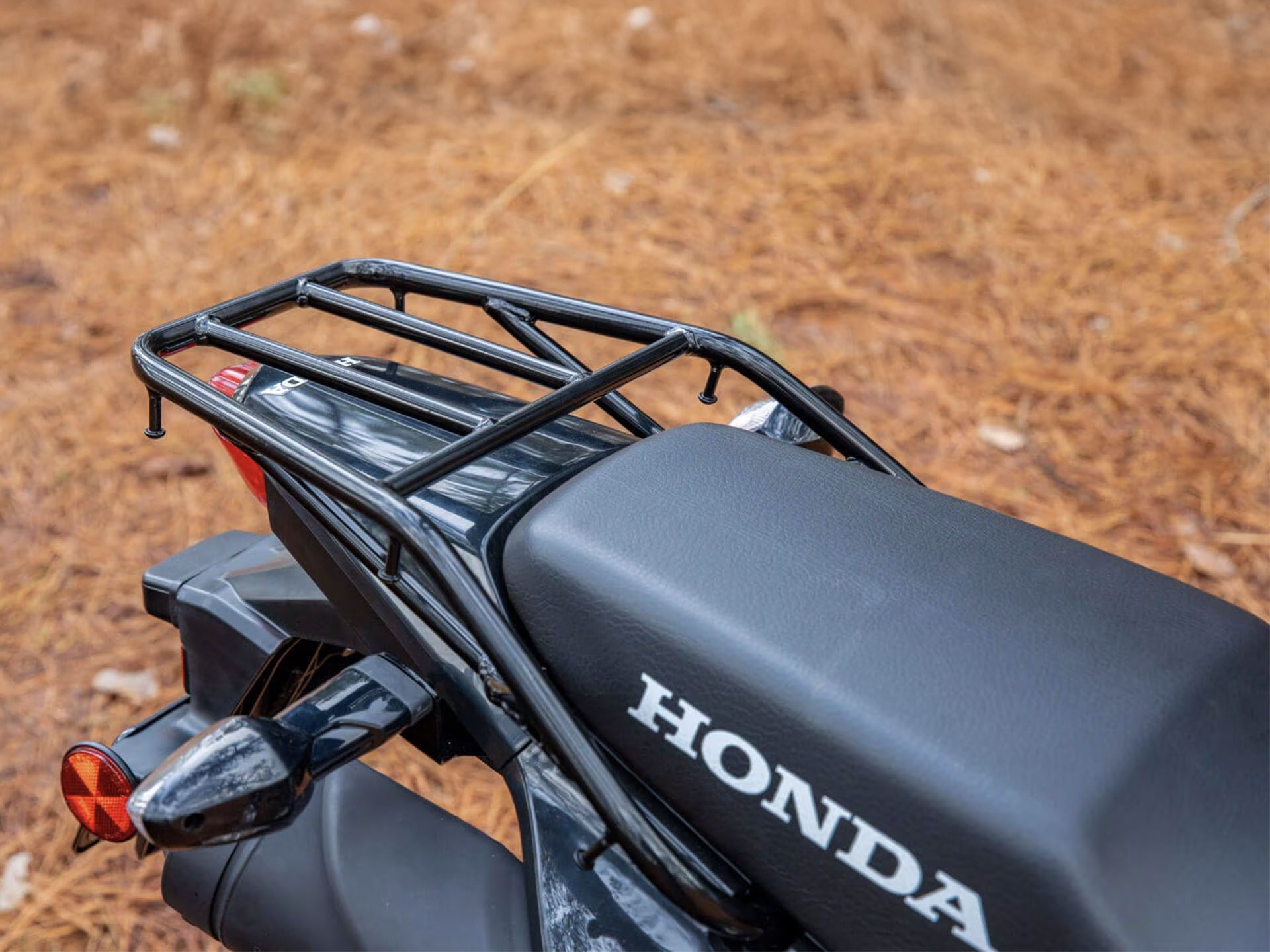 2025 Honda XR150L in West Bridgewater, Massachusetts - Photo 8