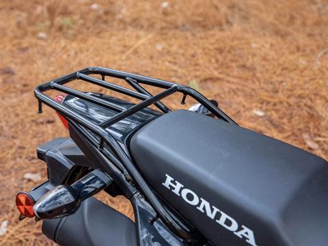 2025 Honda XR150L in Mentor, Ohio - Photo 8