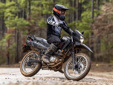 2025 Honda XR150L in Mentor, Ohio - Photo 10