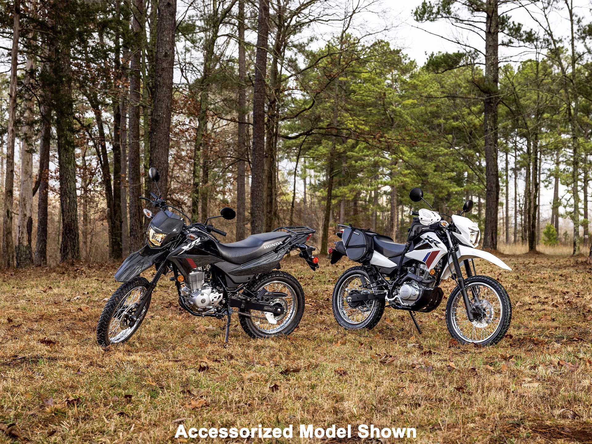 2025 Honda XR150L in Columbia, Tennessee - Photo 14