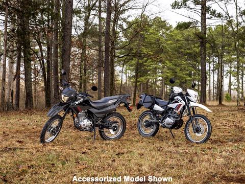 2025 Honda XR150L in Mentor, Ohio - Photo 14