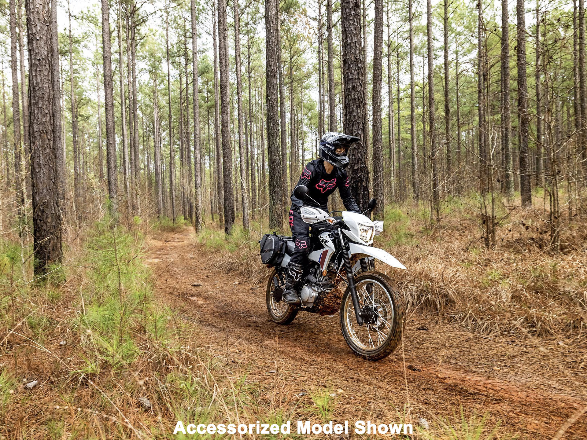 2025 Honda XR150L in Columbia, Tennessee - Photo 15