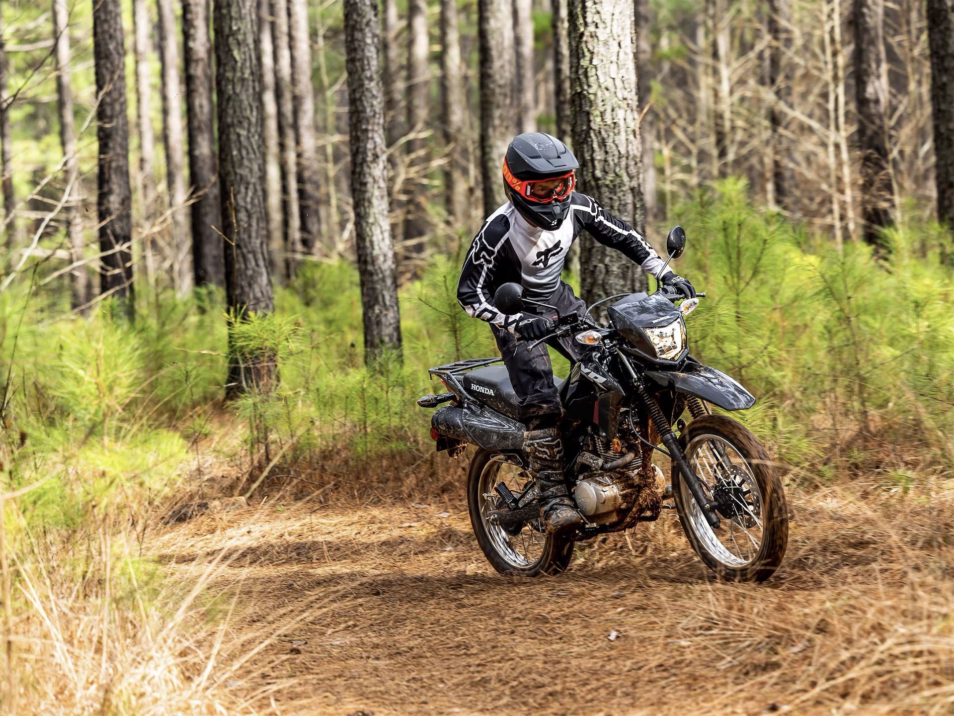 2025 Honda XR150L in Columbia, Tennessee - Photo 16