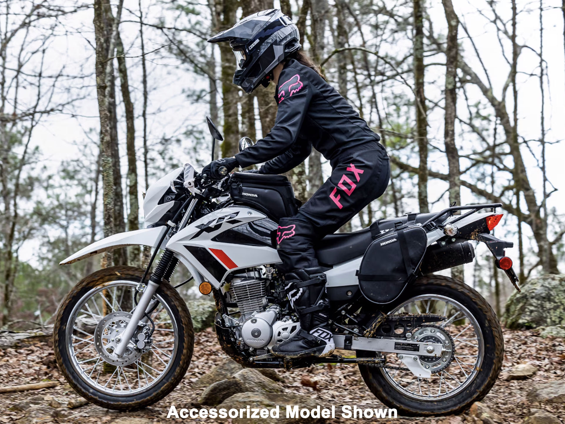 2025 Honda XR150L in West Bridgewater, Massachusetts - Photo 18