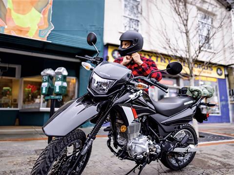 2025 Honda XR150L in Mentor, Ohio - Photo 19