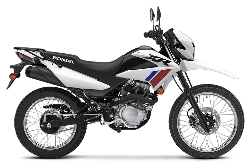 2025 Honda XR150L in West Bridgewater, Massachusetts