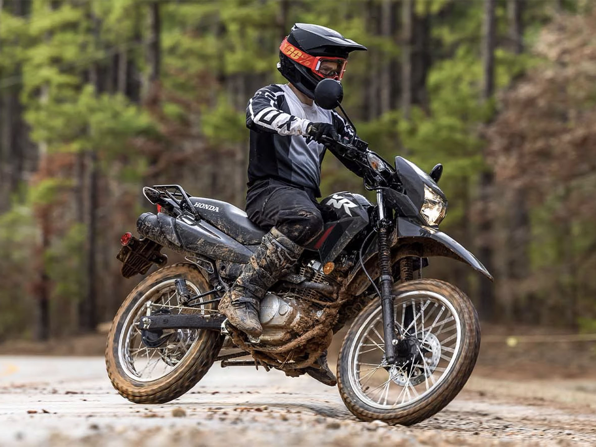 2025 Honda XR150L in Houston, Texas