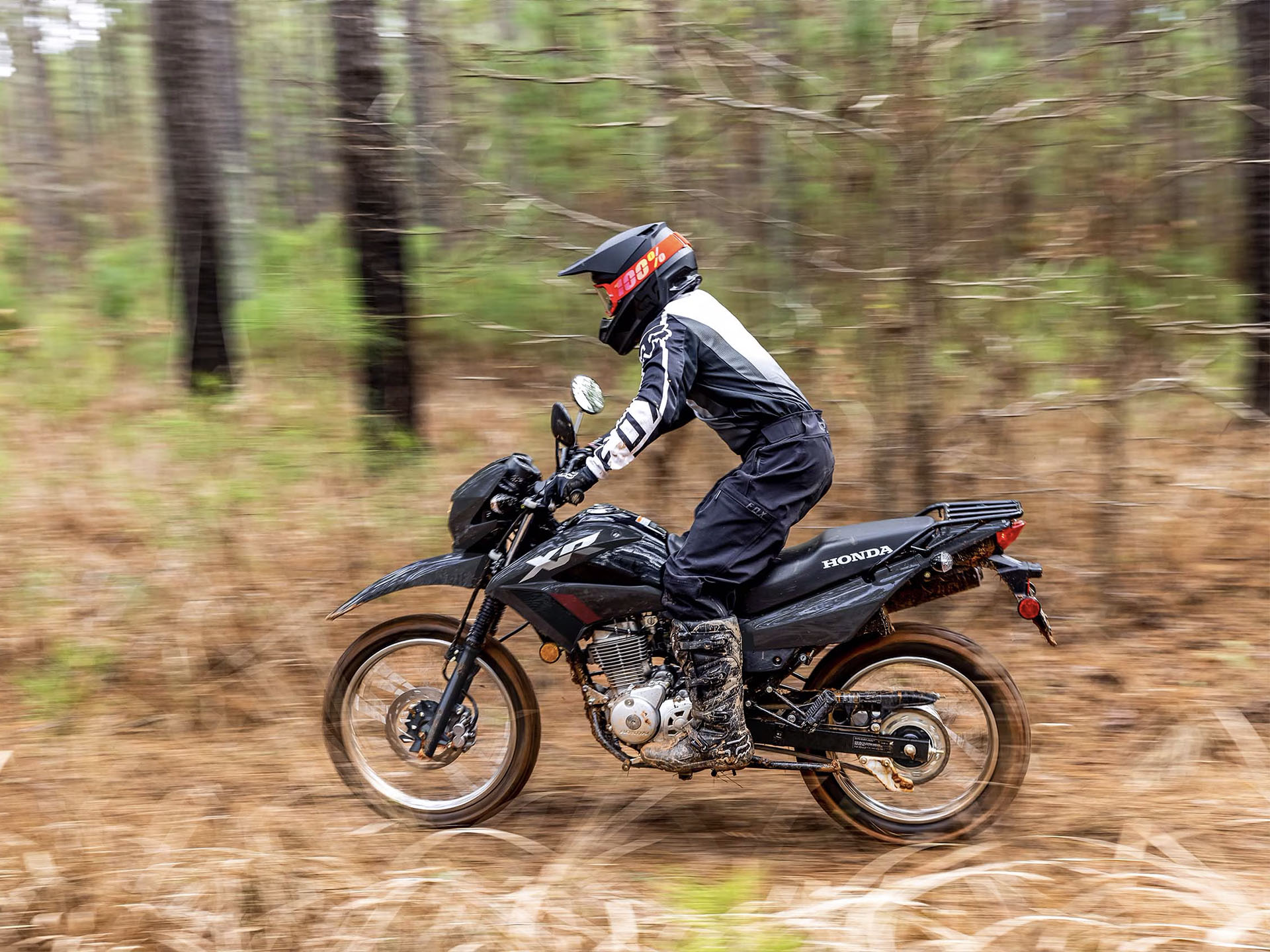 2025 Honda XR150L in Columbia, Tennessee - Photo 11