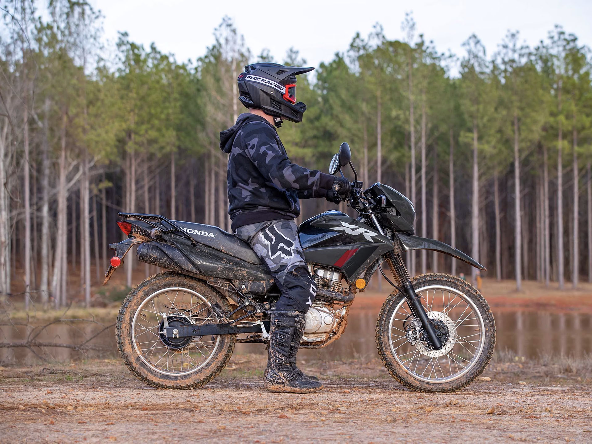 2025 Honda XR150L in Columbia, Tennessee - Photo 12