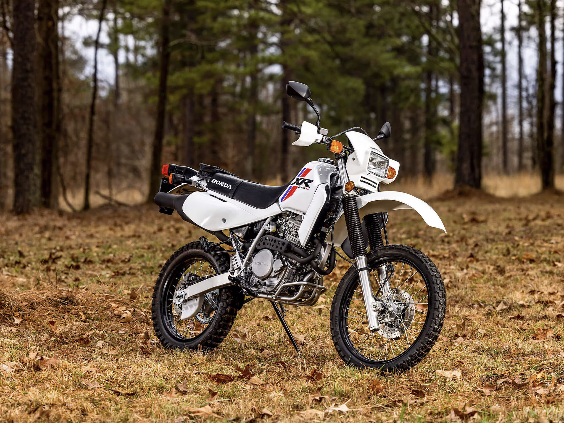 2025 Honda XR650L in Whiteland, Indiana - Photo 6