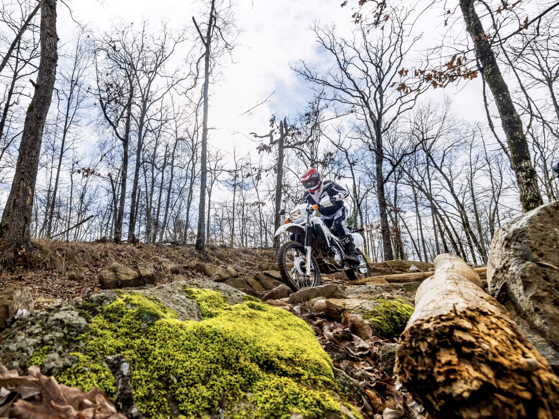 2025 Honda XR650L in New Haven, Connecticut - Photo 7