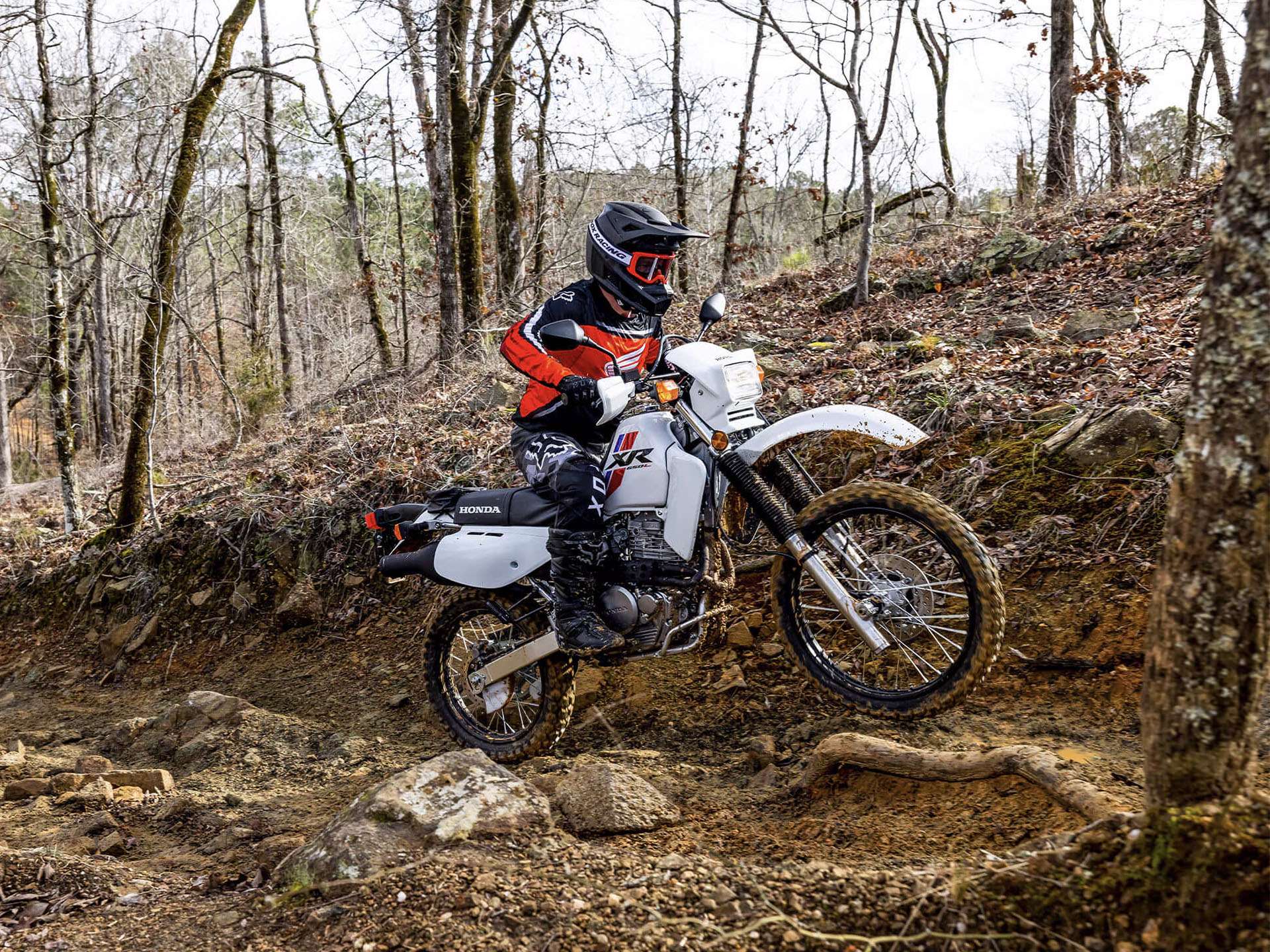 2025 Honda XR650L in New Haven, Connecticut - Photo 8