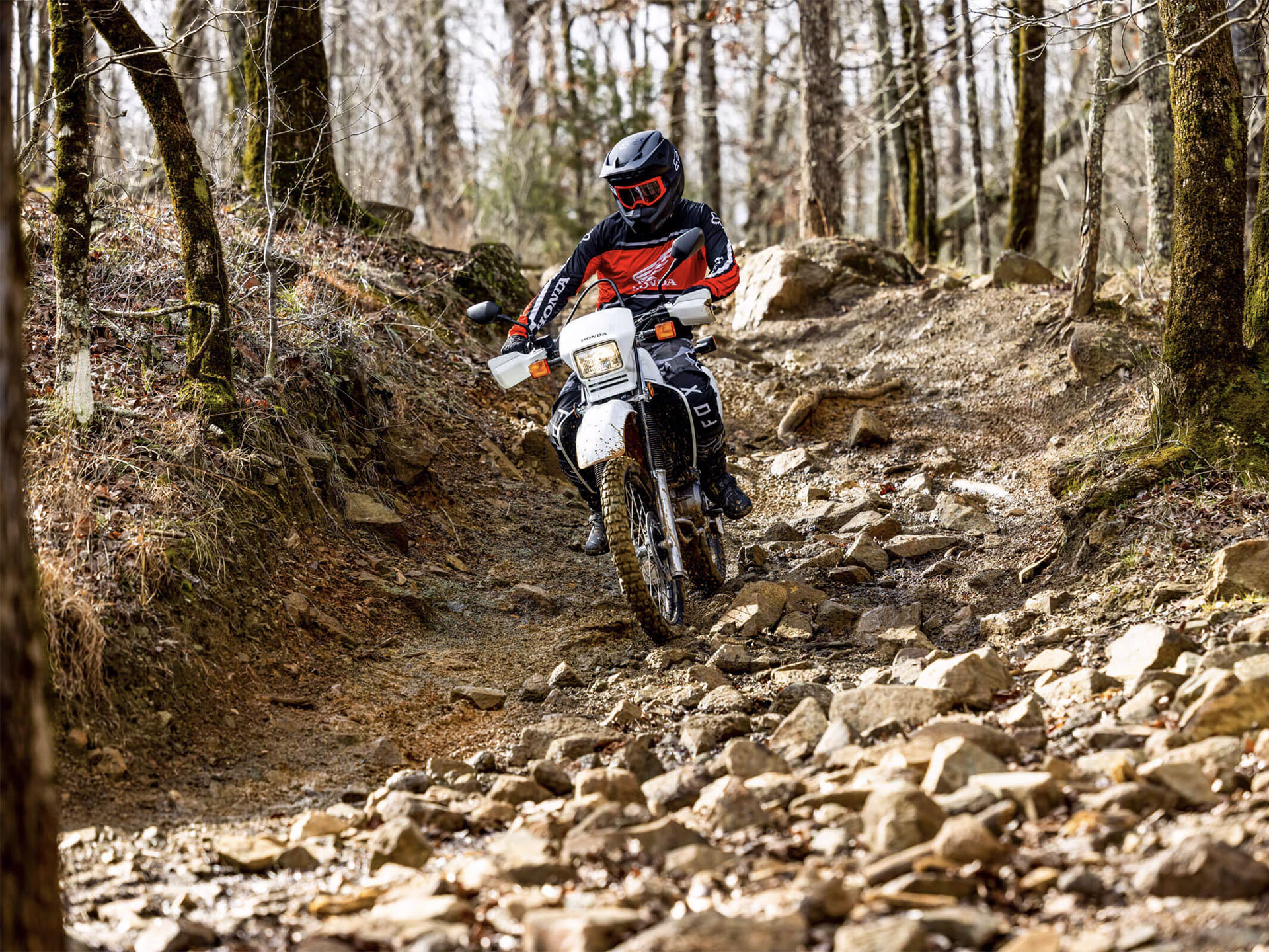 2025 Honda XR650L in The Dalles, Oregon - Photo 10