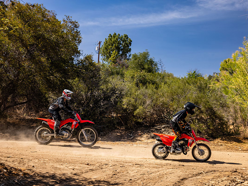 2025 Honda CRF110F in Whiteland, Indiana - Photo 7