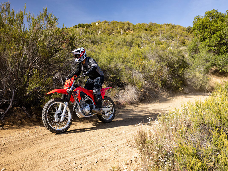 2025 Honda CRF250F in Columbia, Tennessee - Photo 4