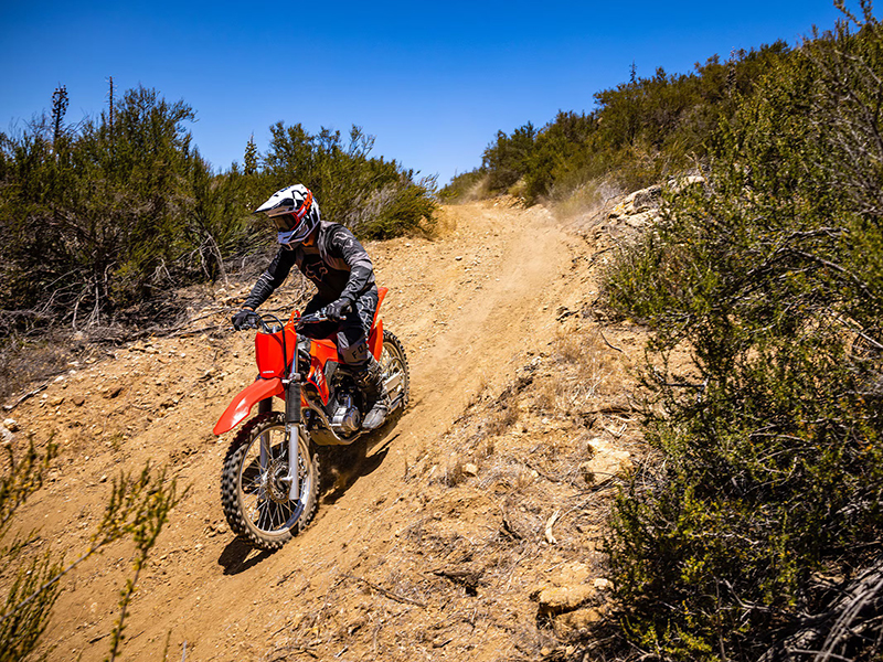 2025 Honda CRF250F in Columbia, Tennessee - Photo 5