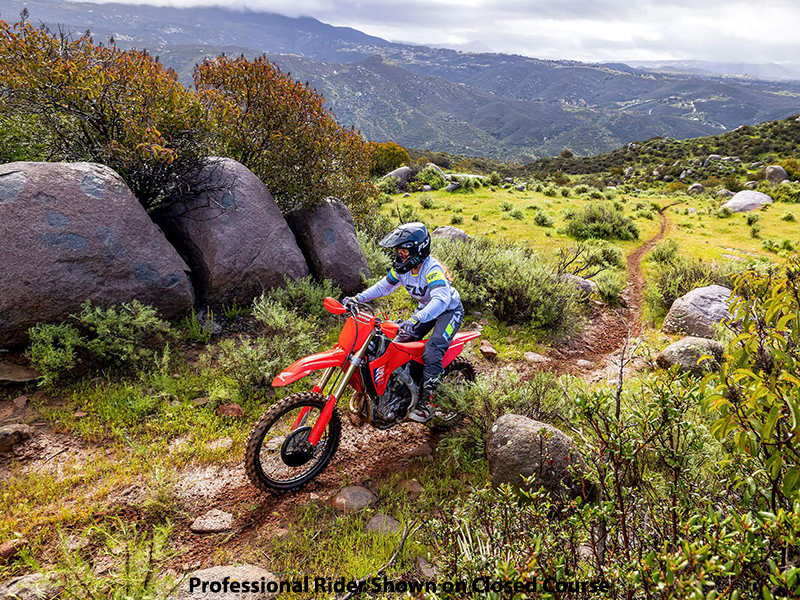 2025 Honda CRF250RX in The Dalles, Oregon - Photo 19