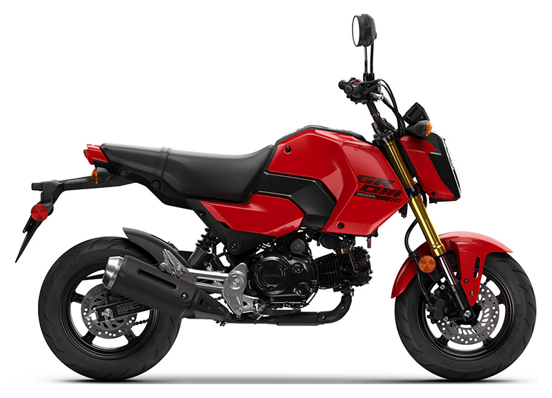 Honda grom orange new arrivals