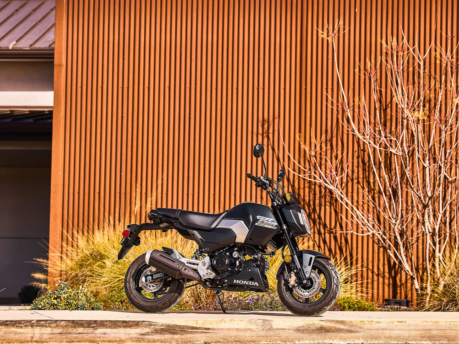 Grom 50cc store