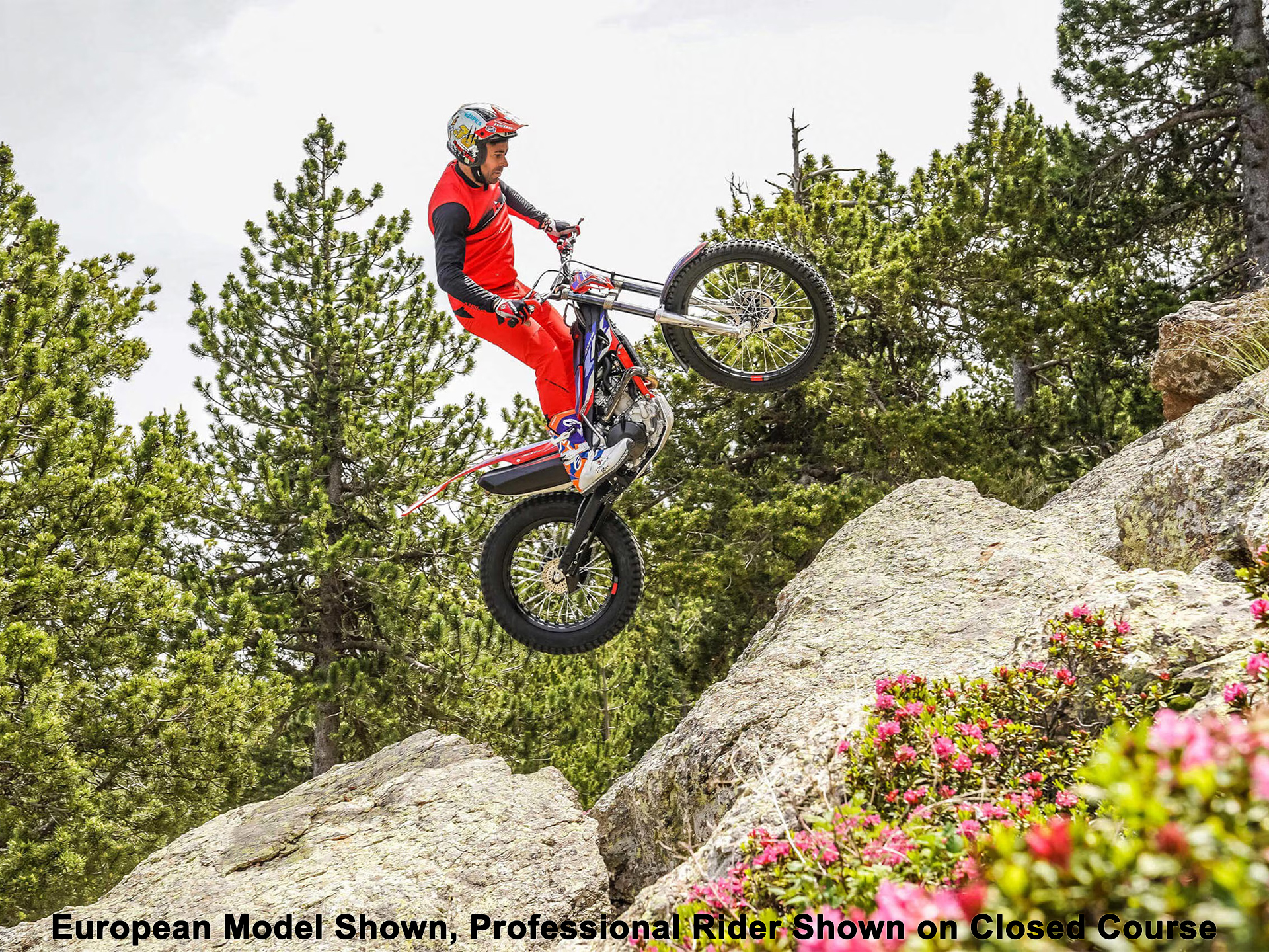 2025 Honda Montesa Cota 301RR in The Dalles, Oregon - Photo 9