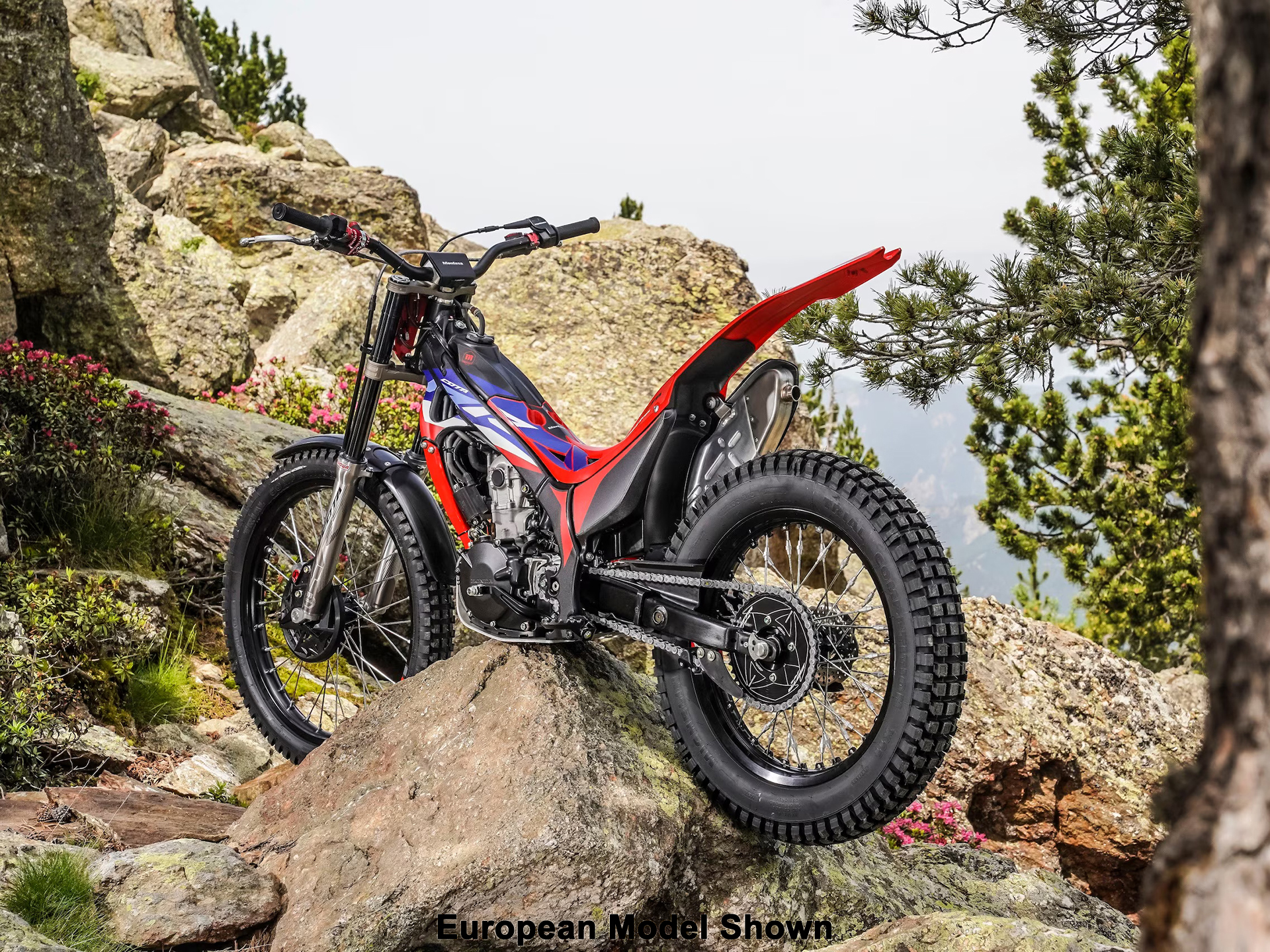 2025 Honda Montesa Cota 301RR in The Dalles, Oregon - Photo 13