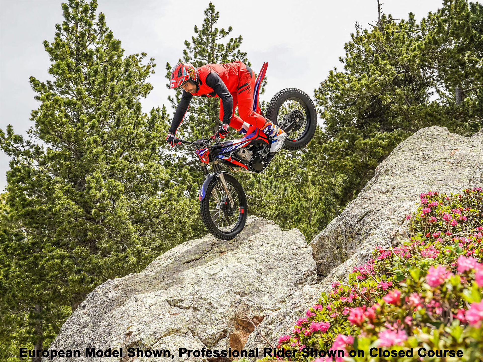 2025 Honda Montesa Cota 301RR in The Dalles, Oregon - Photo 15