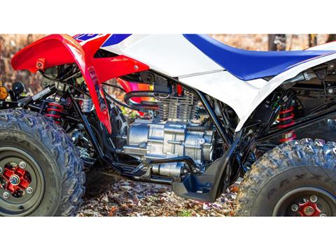 2026 Honda TRX250X in Eugene, Oregon - Photo 3