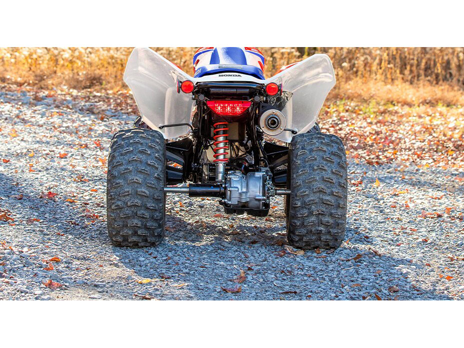 2026 Honda TRX250X in Eugene, Oregon - Photo 6
