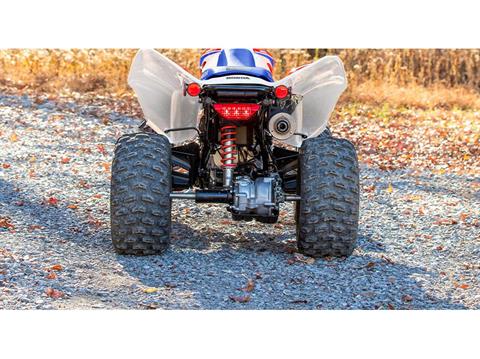 2026 Honda TRX250X in Eugene, Oregon - Photo 6